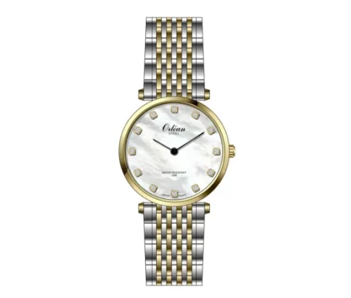 JOLIE MONTRE ORLEAN EN ACIER/PVD OR SERTIE DE CUBIQUES ZIRCONIAS