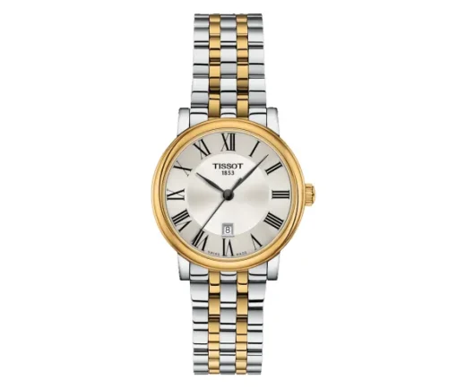 MONTRE ACIER 2T CARSON PREMIUM LADY