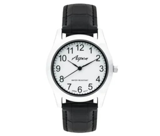 MONTRE ASPEN POUR HOMME EN ACIER