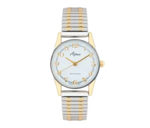 MONTRE POUR DAME ASPEN EN ACIER/PVD OR 2 TONS