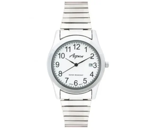 MONTRE POUR HOMME ASPEN EN ACIER