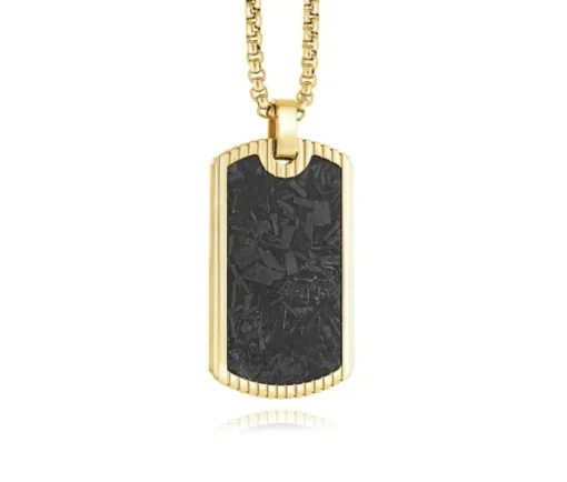 PENDENTIFpoDOG TAGpo EN ACIER/PVD OR ET FIBRE DE CARBONE